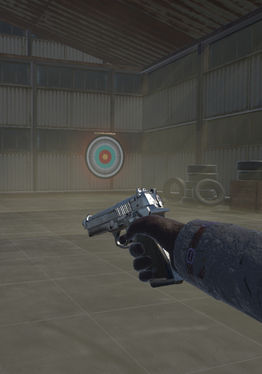 Gun Shooting Range with Pistol