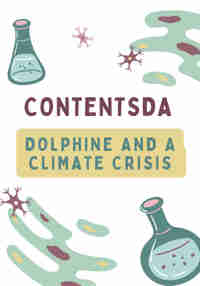 Dolphine and a Climate Crisis - ContentsDa Science Experiment