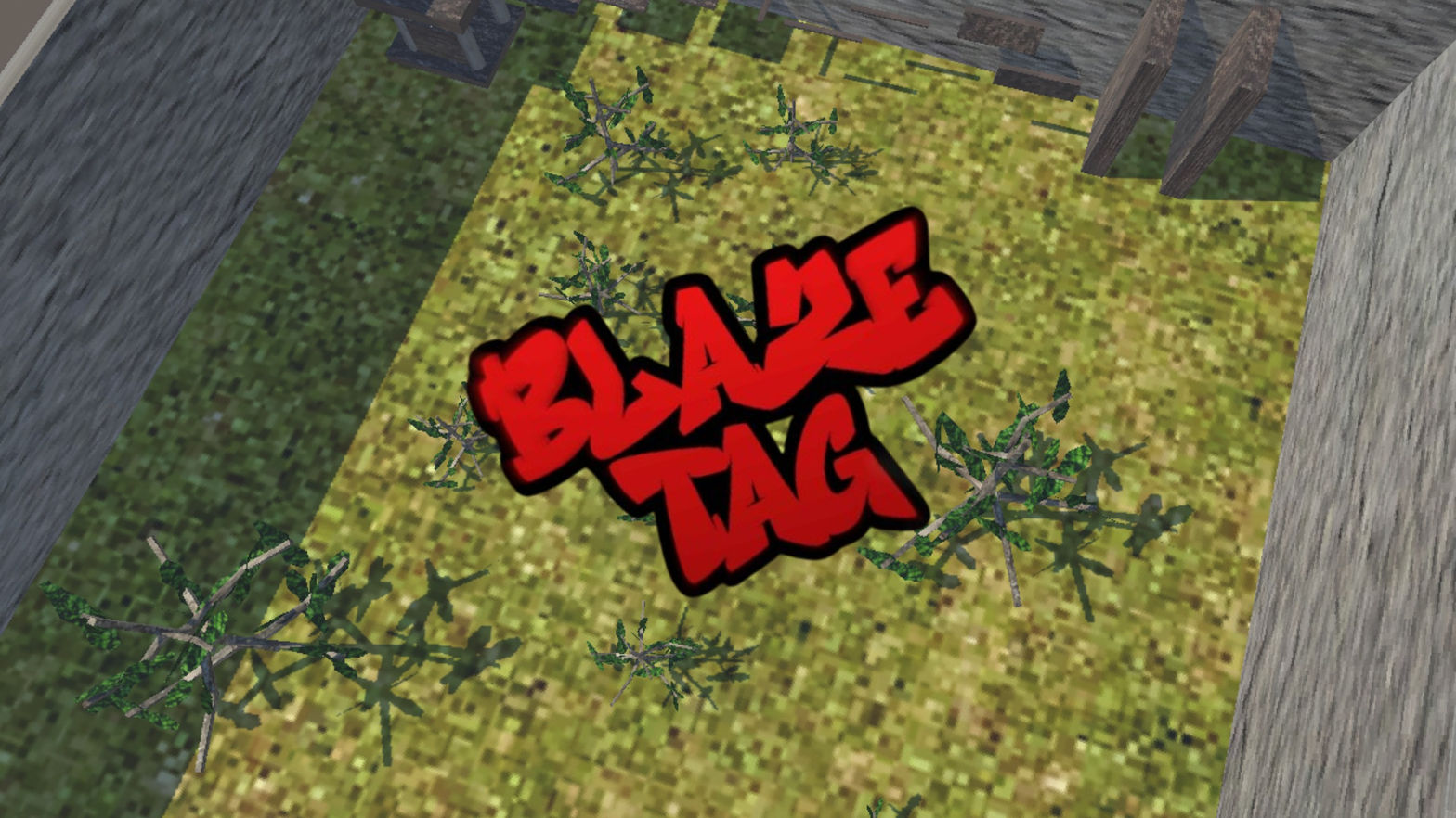 Blaze Tag