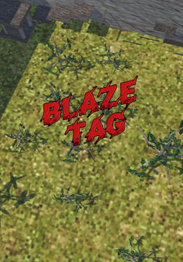 Blaze Tag