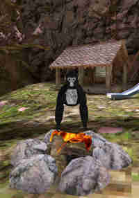 Ape Tag