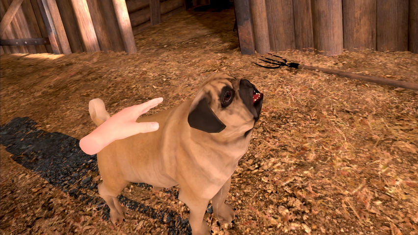Can I Pet That Dog