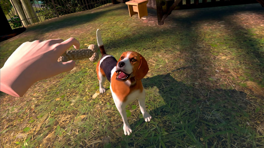 Can I Pet That Dog