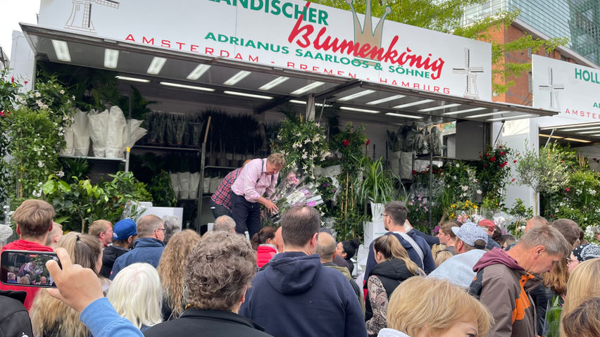 Sam and Marcus Hamburg Harbor Fish Market Adventure Germany - VR Travel