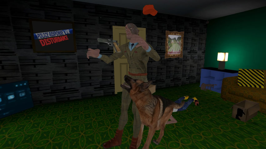 Police Response VR Disturbance