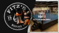 Fitz Original
