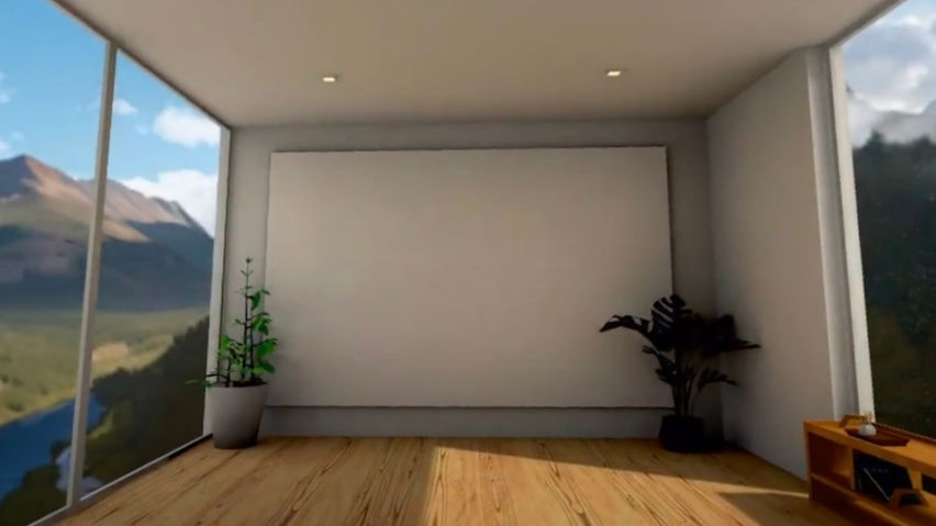 Zenni Vision VR