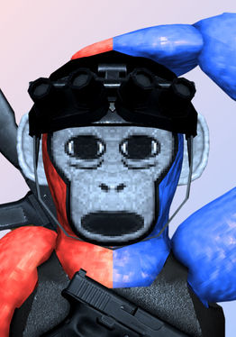 Gorilla Warzone