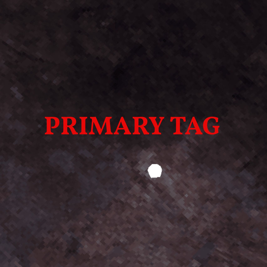 Primary Tag