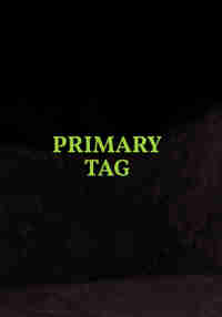 Primary Tag