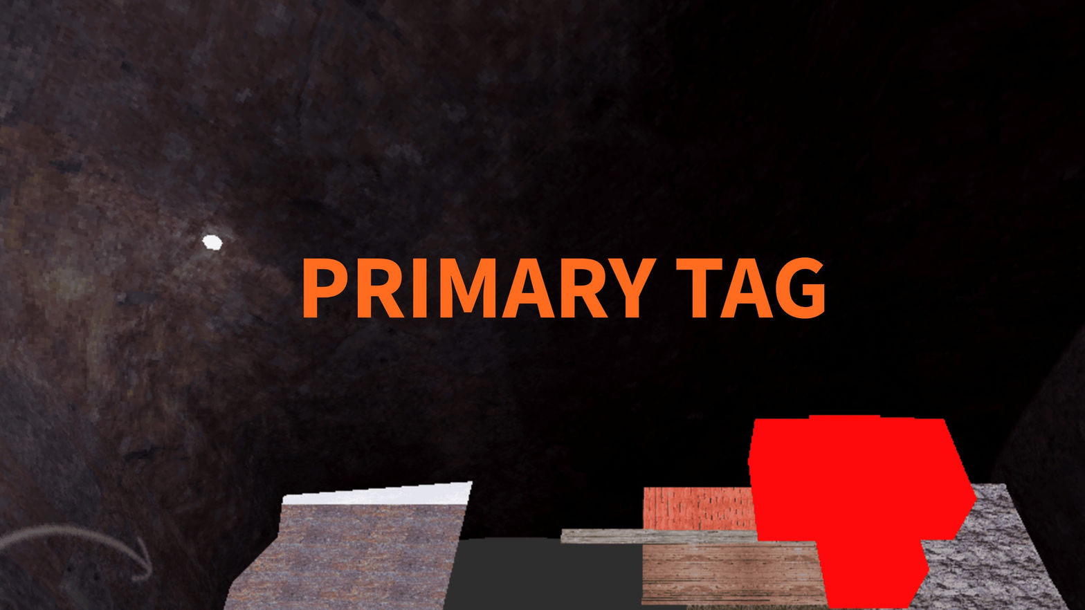 Primary Tag