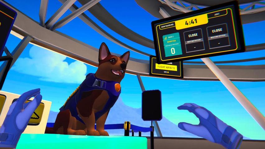 Airport Security Guard