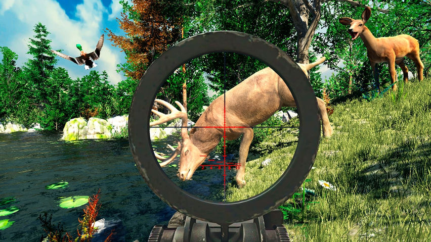 Animal Hunter VR: Wild Shooting Games