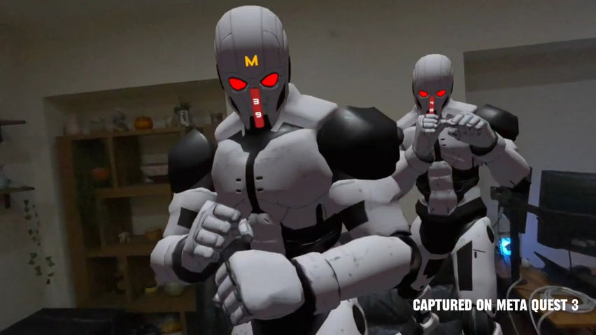 Fight Fit VR