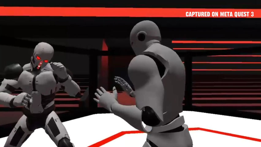Fight Fit VR