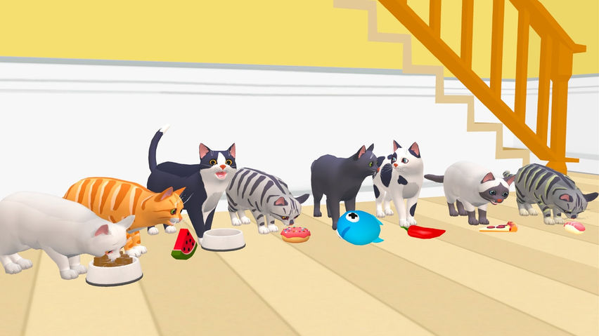 Cat Cafe