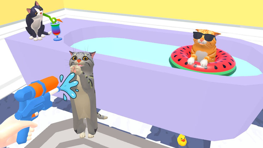 Cat Cafe