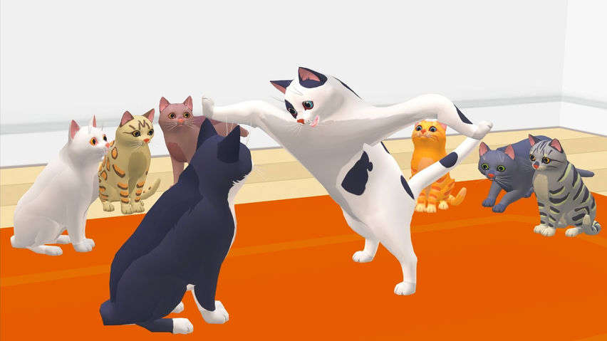 Cat Cafe