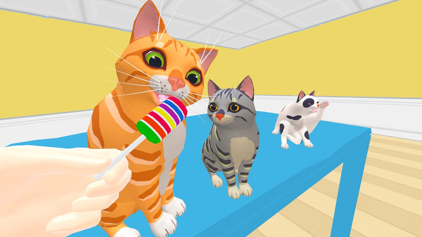 Cat Cafe