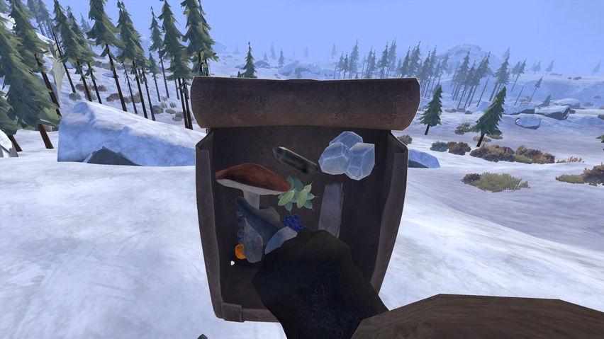 Frost Survival VR