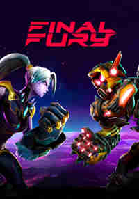 FINAL FURY