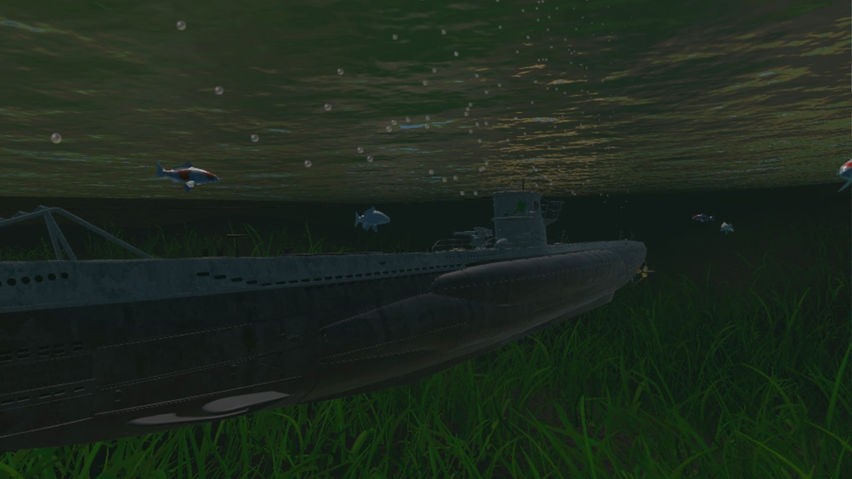 Magnificent Ships
