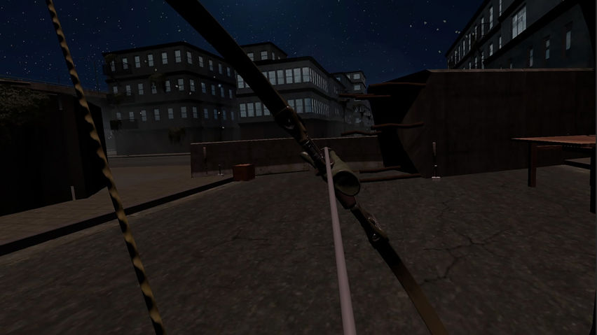 Dead Zone: The Survivor