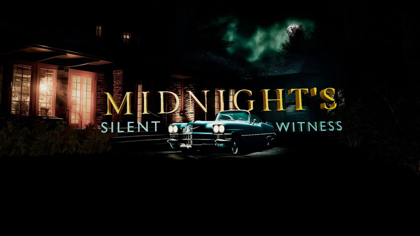 Midnight's Silent Witness
