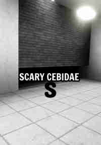 Scary Cebidae