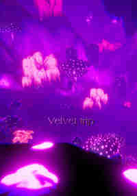 Psychedelic Trip - Velvet