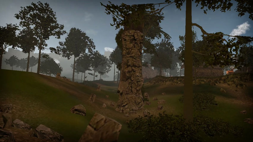 Jungle - Virtual Forest Tour