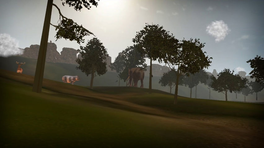 Jungle - Virtual Forest Tour