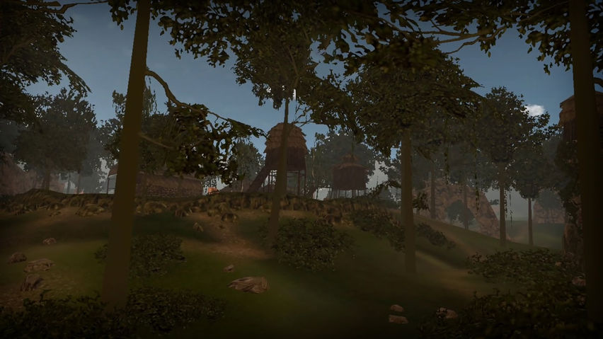 Jungle - Virtual Forest Tour