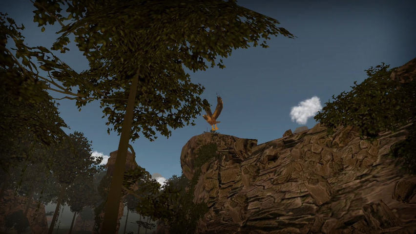 Jungle - Virtual Forest Tour