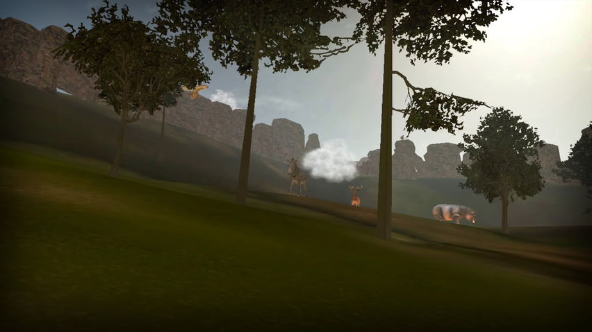 Jungle - Virtual Forest Tour