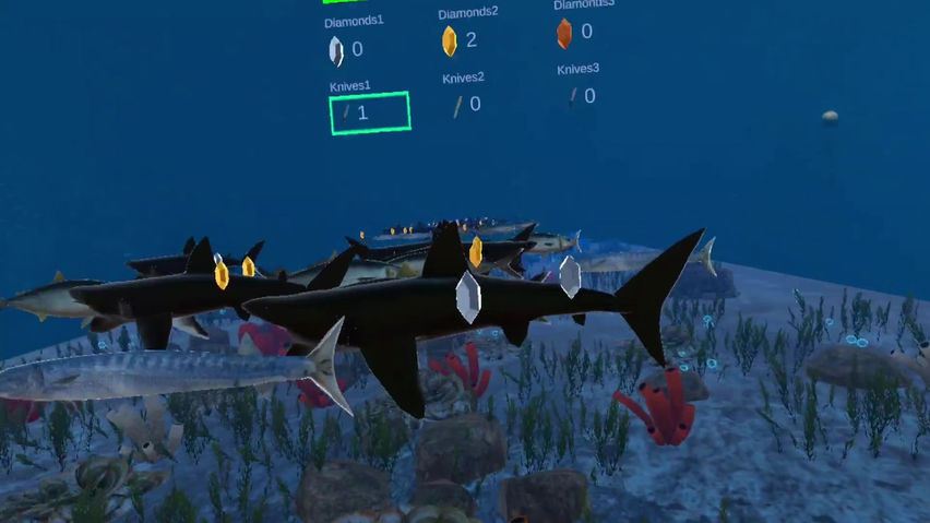 Ocean Explore