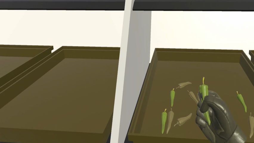 Colorblind experience