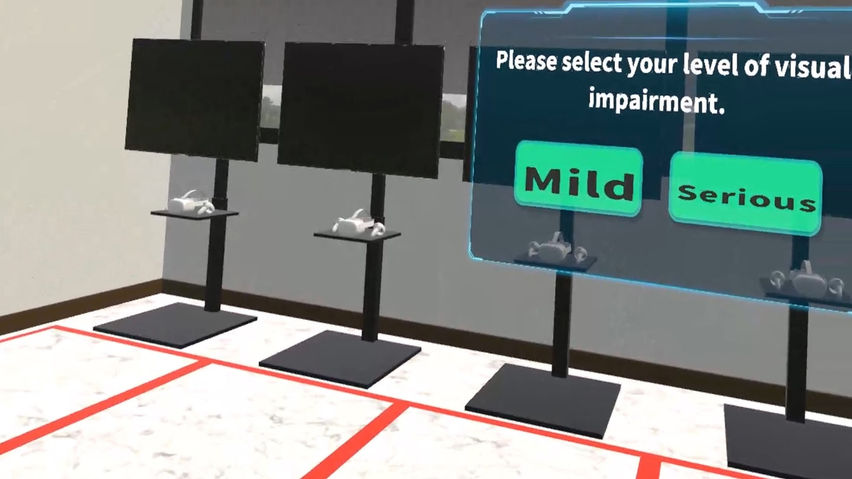 Visual impairment experience