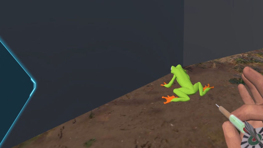 A frog that swallowed a ring