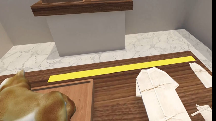Vocational Training - Companion Dog Funeral Director