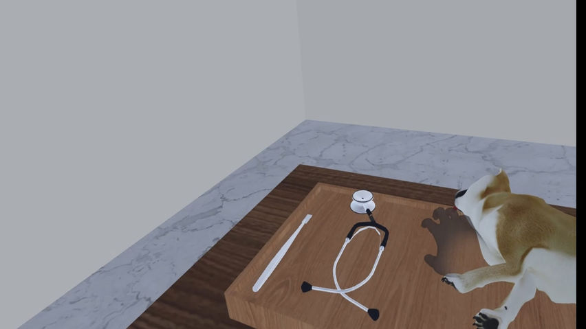 Vocational Training - Companion Dog Funeral Director