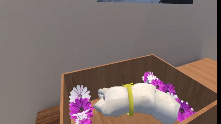 Vocational Training - Companion Dog Funeral Director