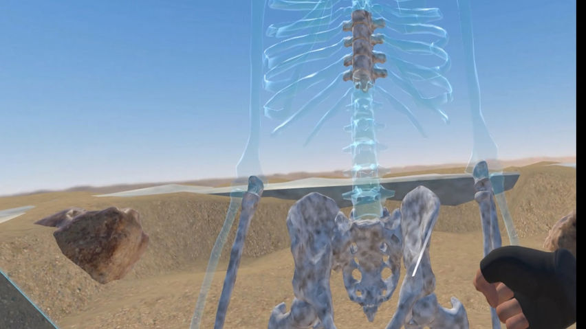 The secret of a buried bone