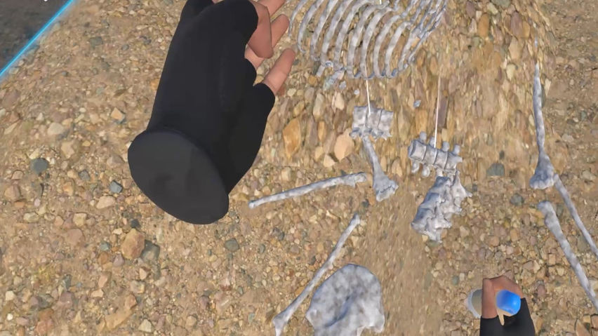 The secret of a buried bone