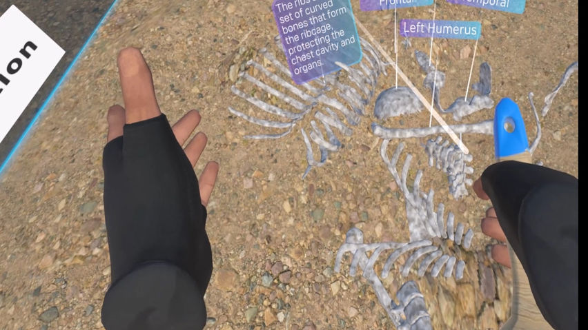 The secret of a buried bone