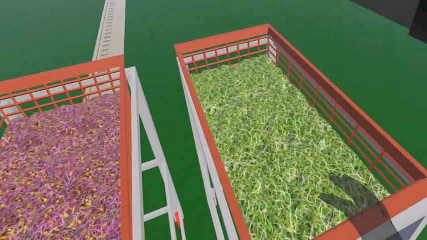Smartfarm-Sprouters