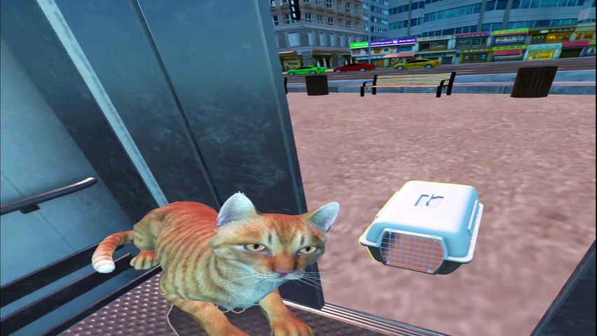 Walk the Plank & Save the cat