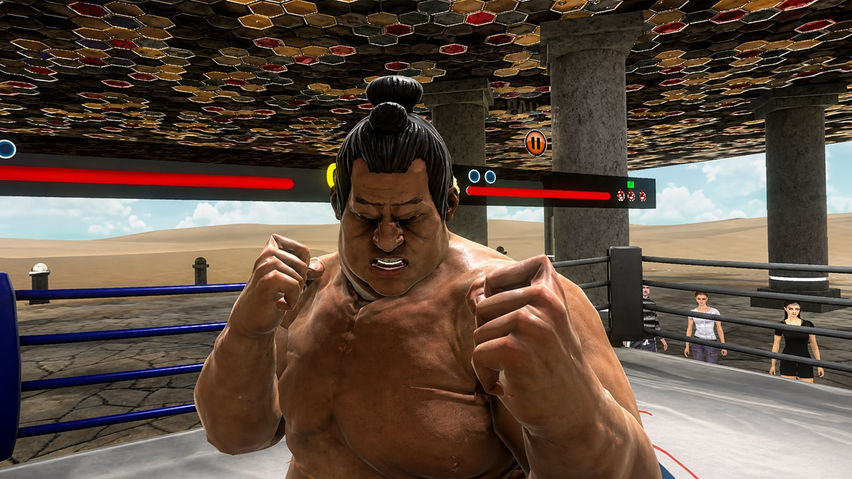 Fight Thrill: Rise to Glory – VR Boxing