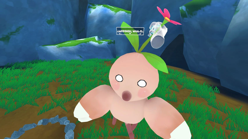 Umami Grove