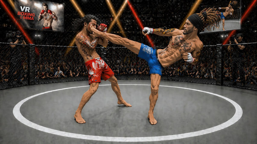 VR Boxing And MMA